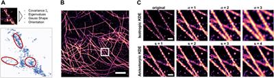 Fourier Ring Correlation and Anisotropic Kernel Density Estimation Improve Deep Learning Based SMLM Reconstruction of Microtubules